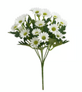 5 Bundle of Ivory