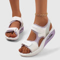 White/Purple