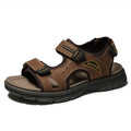 Chocolate Brown