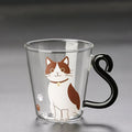 Brown & White Cat